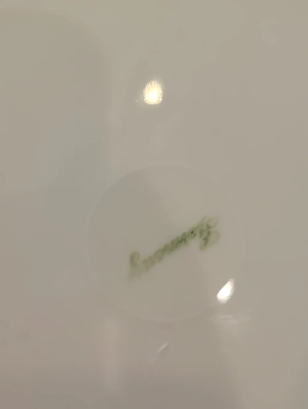 Vintage Bavaria Schumann Arzberg Plates